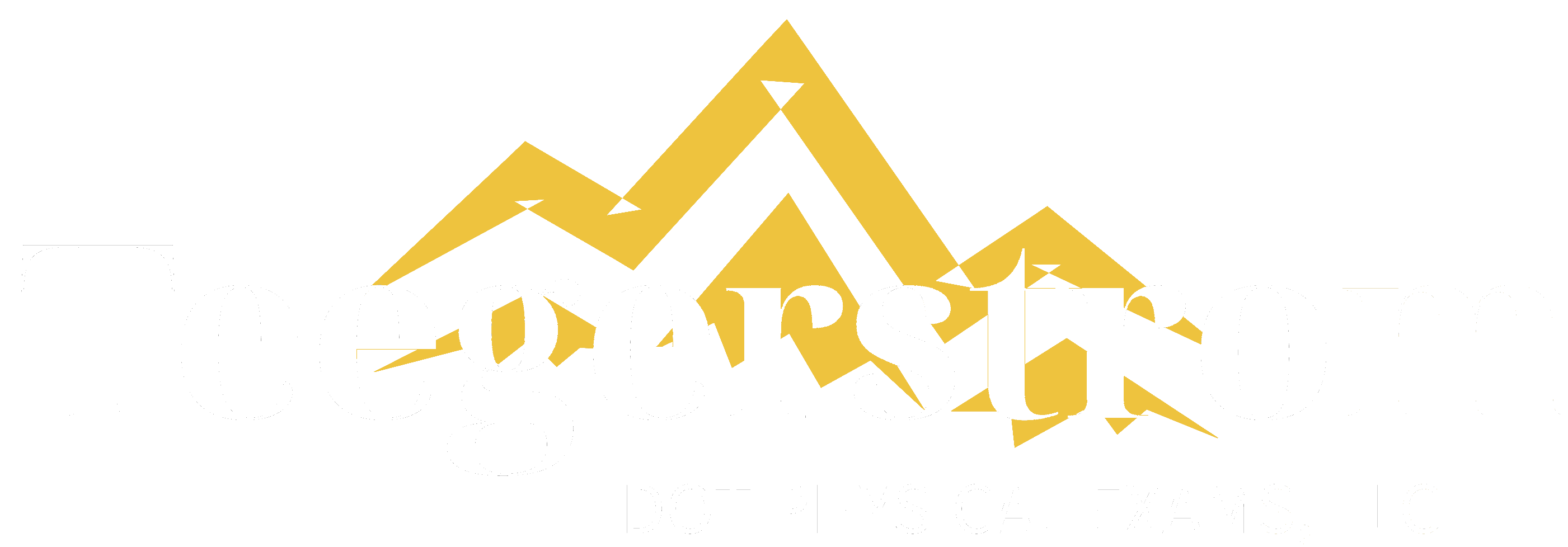 A black and yellow logo for tiger star dot physical therapy.